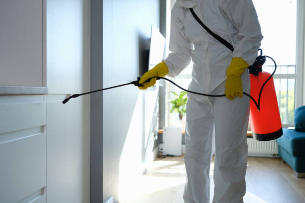 Best Commercial Mold Removal  in Potosi, TX