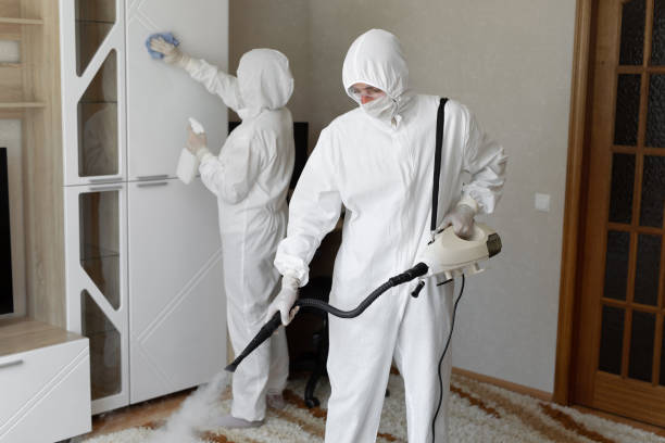 Best Residential Mold Removal  in Potosi, TX