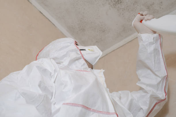 Best Mold Remediation  in Potosi, TX