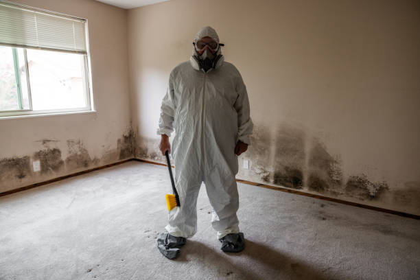Best Professional Mold Removal  in Potosi, TX